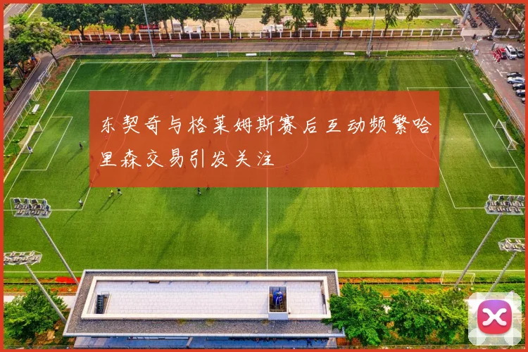 东契奇与格莱姆斯赛后互动频繁哈里森交易引发关注